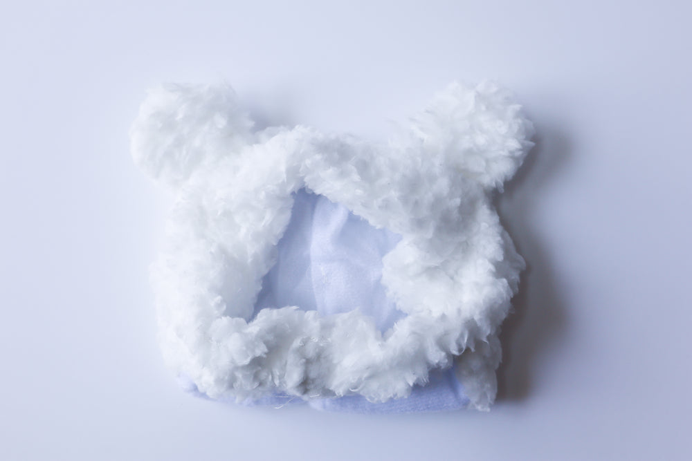 Bear Plush Hat
