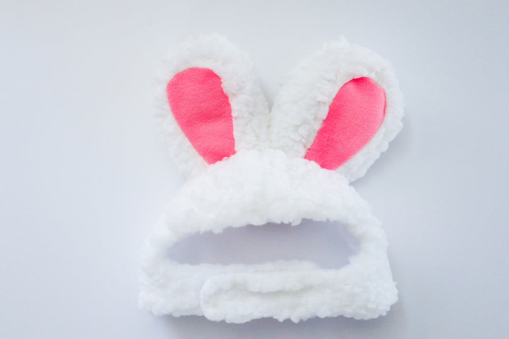 Hoppy Ears Bunny Hat